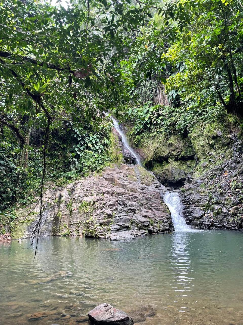 Villa Barthelemy Goyave Dış mekan fotoğraf